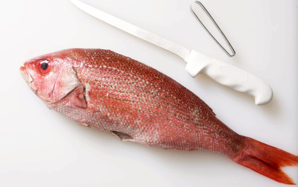la pulizia del pesce in casa